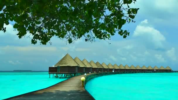 Beautiful Maldives island with ocean — Stock Video