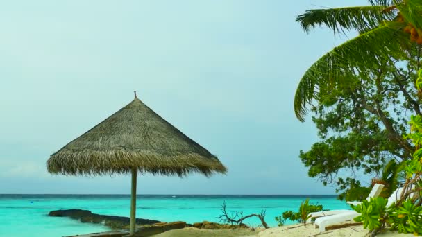 Зонтик на Мальдивском острове — стоковое видео
