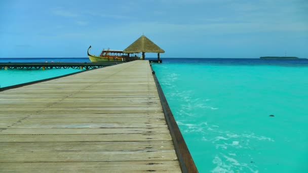 Hermosa isla de Maldivas con océano — Vídeos de Stock