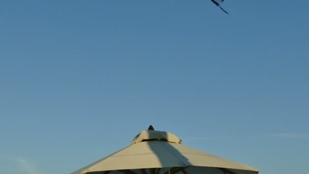 Tavolo romantico sulla spiaggia tropicale — Video Stock