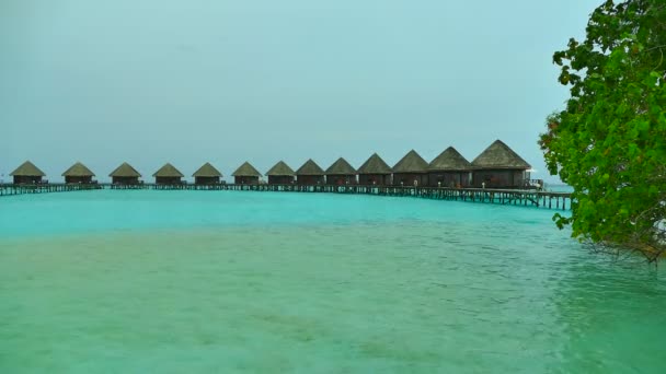 Belle île des Maldives avec océan — Video