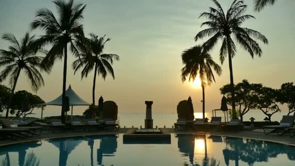 Piscine à l'hôtel — Video