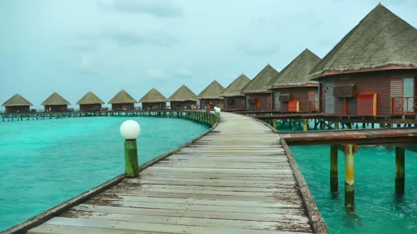 Beautiful Maldives island with ocean — Stock Video
