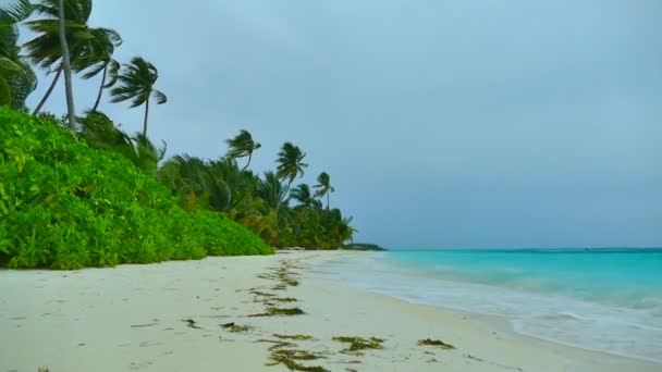 Vackra Maldiverna ö med havsutsikt — Stockvideo