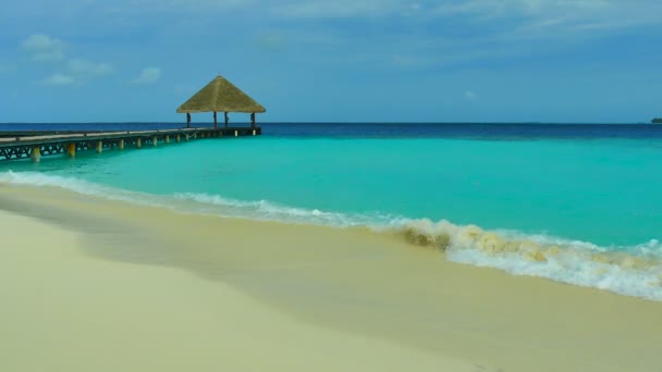 Ponte sulla bellissima isola delle Maldive — Video Stock