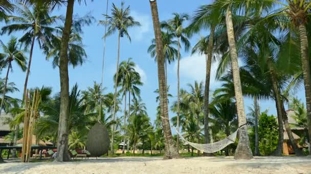 Plage tropicale aux Maldives île — Video