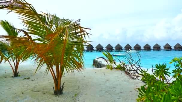 Mooie Maldiven island met Oceaan — Stockvideo