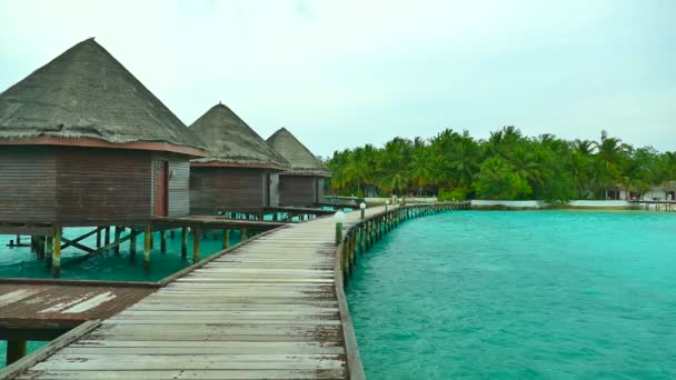 Bella isola delle Maldive con oceano — Video Stock