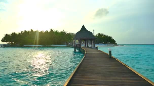 Mooie Maldiven island met Oceaan — Stockvideo