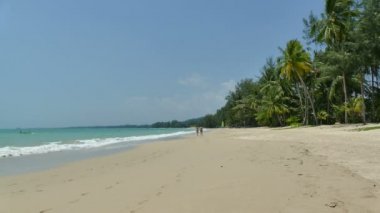 Tropik sahilde palmiye ağaçları