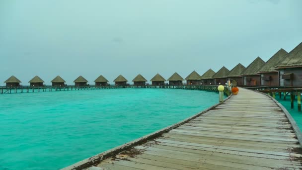 Bella isola delle Maldive con oceano — Video Stock