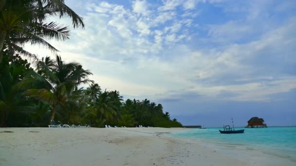 Hermosa isla de Maldivas con océano — Vídeo de stock