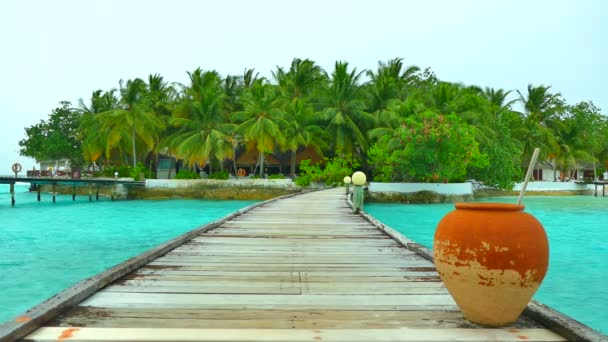 Hermosa isla de Maldivas con océano — Vídeos de Stock