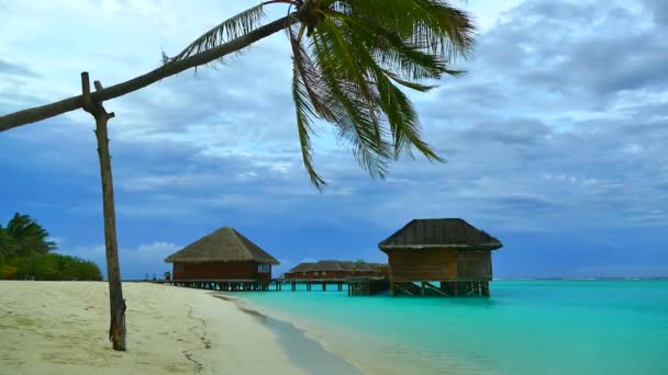 Bella isola delle Maldive con oceano — Video Stock