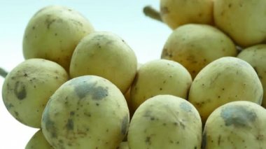 kümeleri lanzones meyve masada