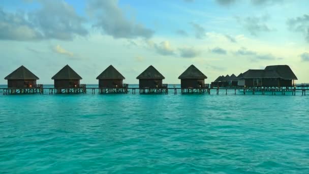 Beautiful Maldives island with ocean — Stock Video