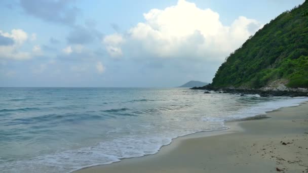 Palmeras en la playa tropical — Vídeo de stock