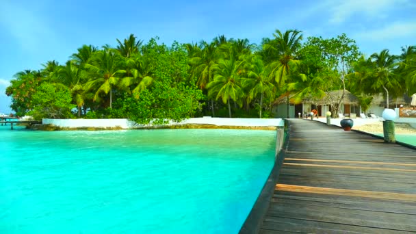 Güzel Maldivler ada okyanus ile — Stok video