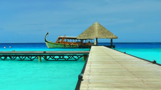 Hermosa isla de Maldivas con océano — Vídeo de stock