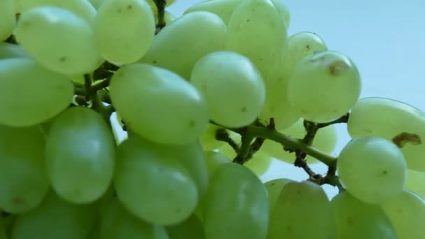 Ramo de uvas en la mesa — Vídeo de stock