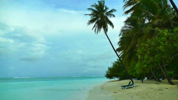 Chaises longues avec mer et plage — Video