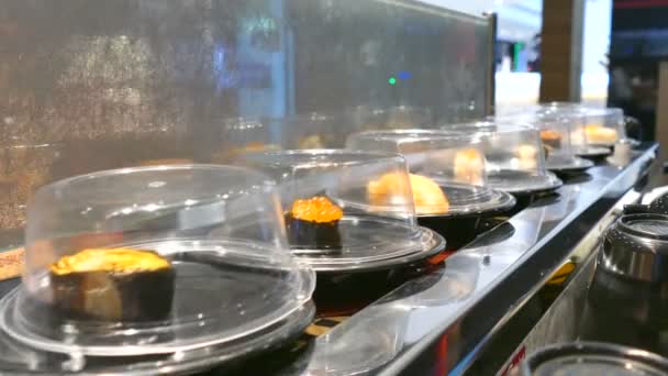 Sushi i rörelse på ett transportband — Stockvideo