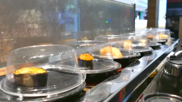 Sushi moving on a conveyor belt — Stock Video