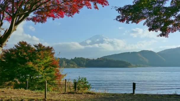 Kolorowy Jesienny Krajobraz Górą Fuji Japonii — Wideo stockowe