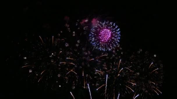 Video Fuochi Artificio Dorati Che Brillano Nel Cielo Notturno Drak — Video Stock