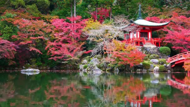 Arashiyama Temporada Outono Kyoto Japão — Vídeo de Stock
