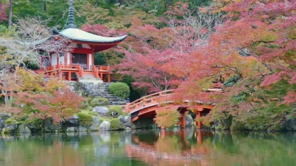 Sonbahar Mevsiminde Arashiyama Kyoto Japonya — Stok video