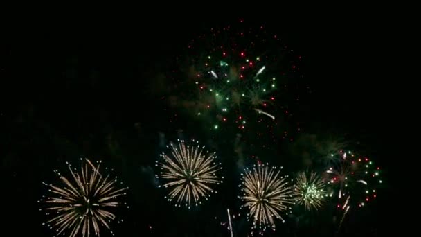 Video Fuochi Artificio Dorati Che Brillano Nel Cielo Notturno Drak — Video Stock