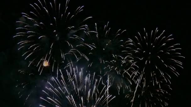 4Kビデオの黄金の花火が夜空に輝く — ストック動画