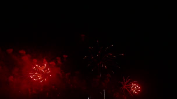 Video Fuochi Artificio Dorati Che Brillano Nel Cielo Notturno Drak — Video Stock