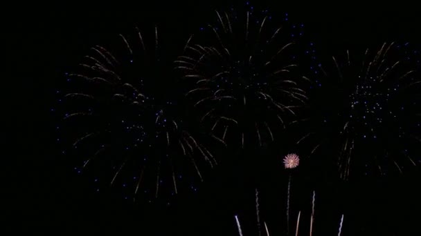 Video Fuochi Artificio Dorati Che Brillano Nel Cielo Notturno Drak — Video Stock