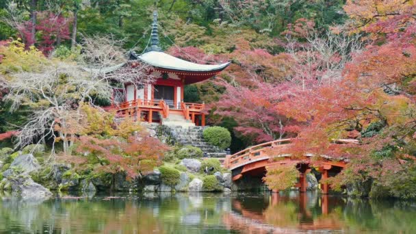 Arashiyama Podzim Kjóto Japonsko — Stock video
