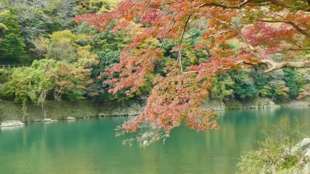 Arashiyama Την Εποχή Του Φθινοπώρου Κιότο Ιαπωνία — Αρχείο Βίντεο