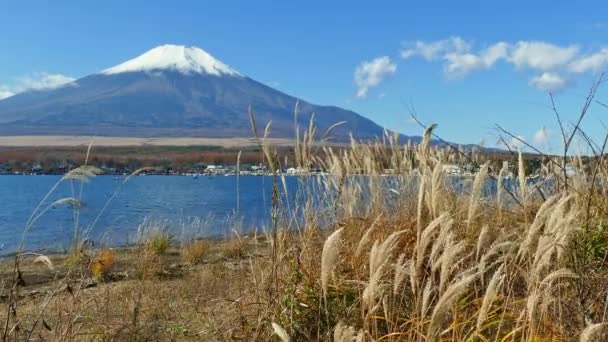 日本の富士山とカラフルな秋の風景 — ストック動画