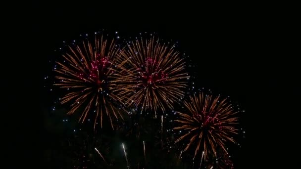 Video Fuochi Artificio Colorati Che Brillano Nel Cielo Notturno Buio — Video Stock