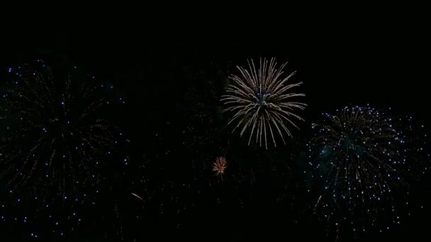 Βίντεο Από Πολύχρωμα Πυροτεχνήματα Λάμπουν Στο Σκοτεινό Νυχτερινό Ουρανό — Αρχείο Βίντεο