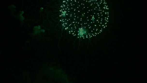 Video Von Buntem Feuerwerk Das Dunklen Nachthimmel Glüht — Stockvideo