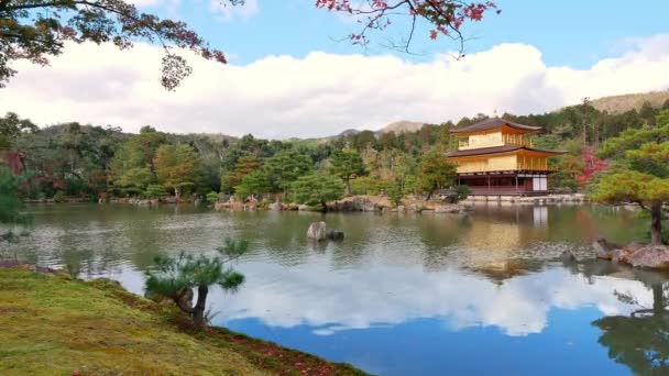 Πολύχρωμο Φθινόπωρο Kinkakuji Ναό Χρυσό Περίπτερο Στο Κιότο Ιαπωνία — Αρχείο Βίντεο