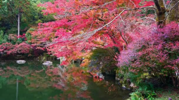 Arashiyama Temporada Outono Kyoto Japão — Vídeo de Stock