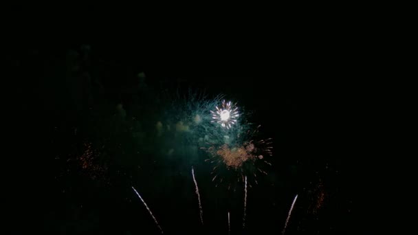 Vídeo Fogos Artifício Dourados Brilhando Céu Escuro Noite — Vídeo de Stock