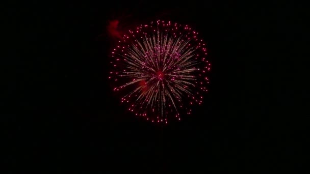 Video Von Goldenem Feuerwerk Das Dunklen Nachthimmel Glüht — Stockvideo