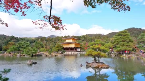 Outono Colorido Com Templo Kinkakuji Pavilhão Dourado Kyoto Japão — Vídeo de Stock