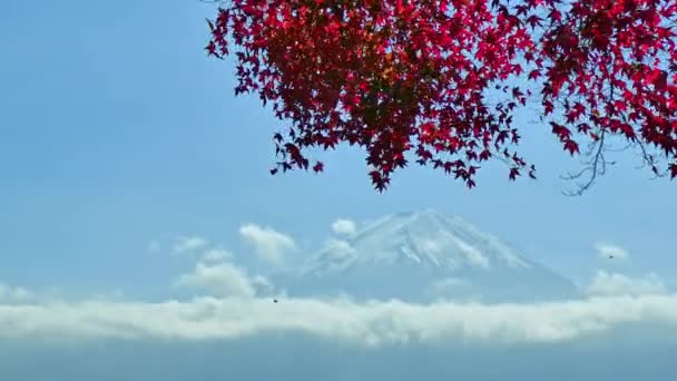 Барвистий Осінній Краєвид Горою Фудзіяма Японії — стокове відео