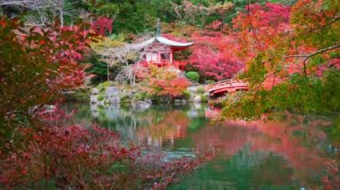 Japonya 'nın Kyoto şehrinde sonbaharda renkli akçaağaç ağaçları olan Daigo-ji tapınağı.