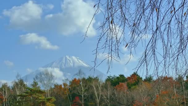 Färgglada Höstlandskap Med Berget Fuji Japan — Stockvideo
