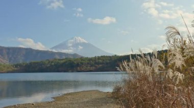 Japonya 'daki Fuji Dağı ile renkli sonbahar manzarası